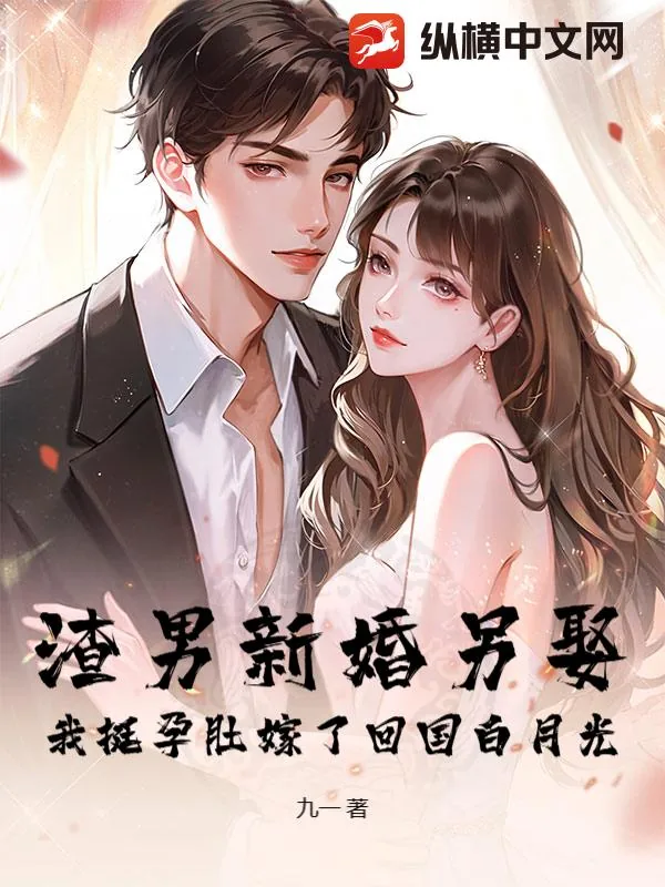 《渣男新婚另娶,我挺孕肚嫁了回国白月光》小说封面