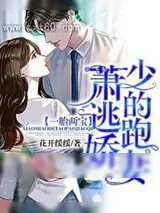 《一胎两宝：萧少的逃跑娇妻》小说封面