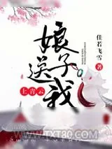 《娘子送我上青云》小说封面