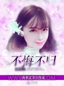 《错付之不悔不归》小说封面