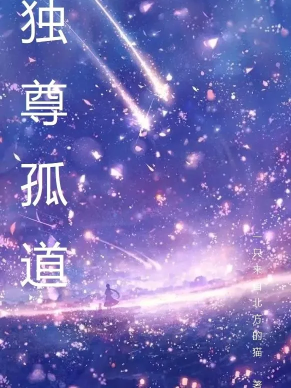 《独尊孤道》小说封面