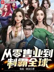 《从零售业到制霸全球》小说封面