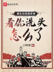 《重生你是我老婆，看你洗头怎么了》小说封面