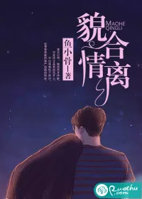《貌合情离》小说封面