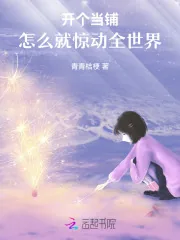 《开个当铺,怎么就惊动全世界》小说封面