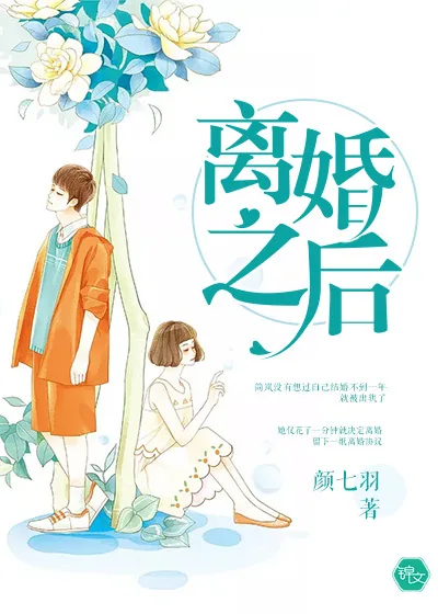 《离婚之后》小说封面