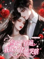 《虐我千百遍，我嫁大佬他哭瞎》小说封面
