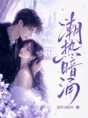 《潮热暗涌》小说封面