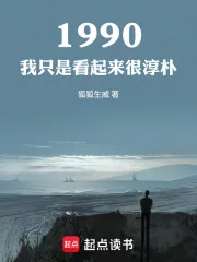 《1990:我只是看起来很淳朴》小说封面
