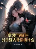 《拿我当赌注,分手嫁大佬你悔什么》小说封面