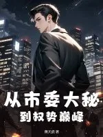《从市委大秘到权势巅峰》小说封面