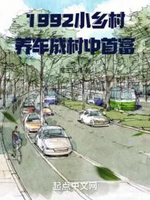《1992小乡村，养车成村中首富》小说封面