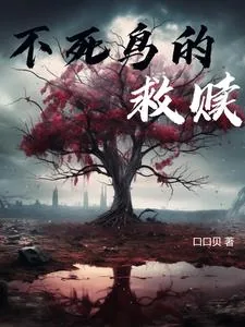《与魔剑的圆舞曲》小说封面