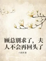 《顾总别求了,夫人不会再回头了》小说封面