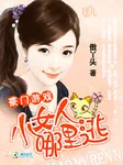 《豪门游戏：小女人，哪里逃》小说封面