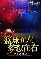 《篮球在左,梦想在右》小说封面