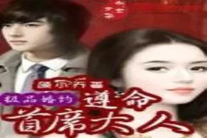 《极品婚约：遵命，首席大人》小说封面