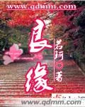 《良缘》小说封面