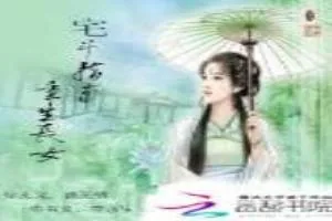 《重生长女宅斗指南》小说封面