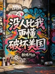 《没人比我更懂破坏美国》小说封面