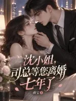 《沈小姐,司总等您离婚七年了》小说封面