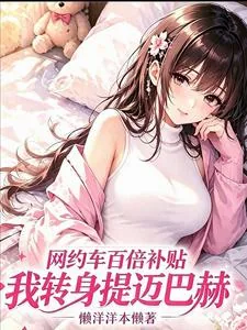 《网约车百倍补贴,我转身提迈巴赫》小说封面
