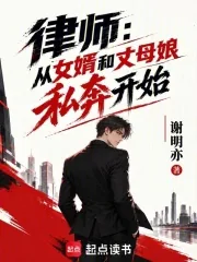 《律师:从合法打击出轨私奔开始》小说封面