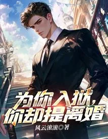 《为你入狱，你却提离婚》小说封面