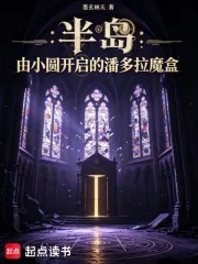 《半岛：潘多拉魔盒，我在韩娱造神》小说封面