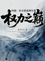 《问鼎：从小镇选调生到权力之巅》小说封面