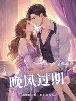 《晚风过期》小说封面