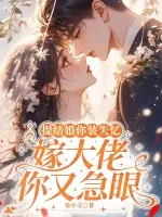 《提结婚你装失忆，嫁大佬你又急眼》小说封面