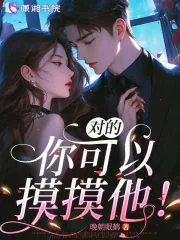 《对的,你可以摸摸他!》小说封面