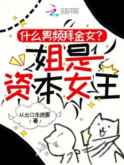《什么男频拜金女？姐是资本女王》小说封面