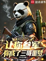 《让你参军,你成了三哥噩梦》小说封面