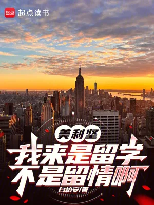 《美利坚:我来是留学,不是留情啊》小说封面