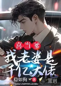 《喜当爹：我老婆是千亿大佬》小说封面