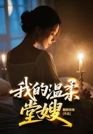 《我的温柔堂嫂》小说封面