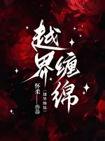 《越界缠绵》小说封面
