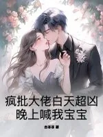 《疯批大佬白天超凶,晚上喊我宝宝》小说封面