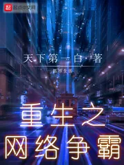 《重生之网络争霸》小说封面