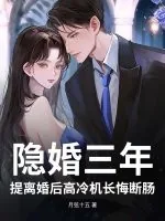 《隐婚三年，提离婚后高冷机长悔断肠》小说封面