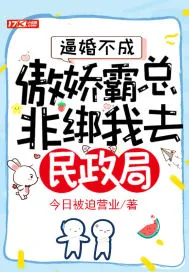 《逼婚不成,傲娇霸总非绑我去民政局!》小说封面