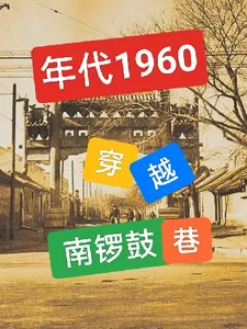 《年代1960：穿越南锣鼓巷》小说封面