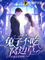 《兔子不吃窝边草,可盛总是狼啊!》小说封面