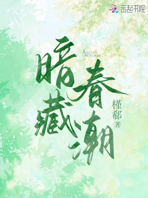 《暗藏春潮》小说封面