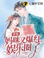 《爹地,妈咪又爆红娱乐圈了》小说封面