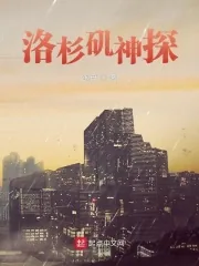 《洛杉矶神探》小说封面