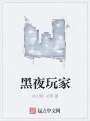 《黑夜玩家》小说封面