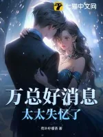《万总好消息,太太失忆了》小说封面